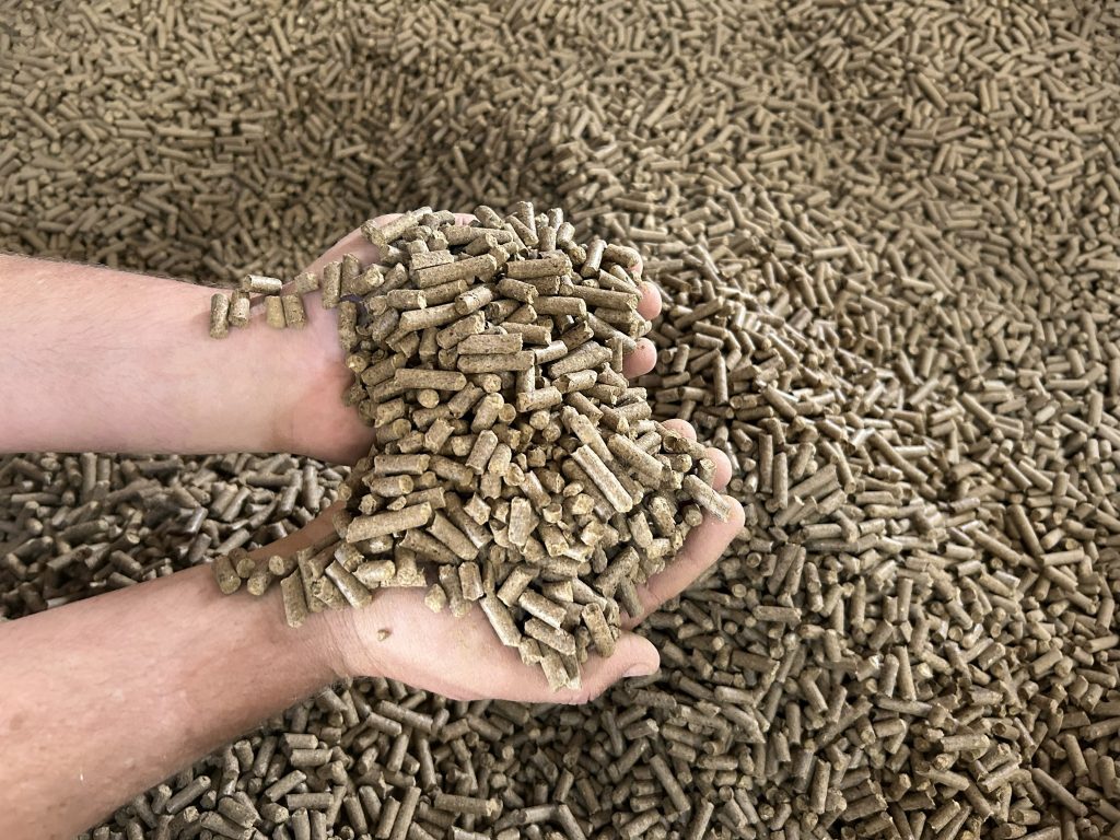 Mãos segurando pellets de biomassa produzidos a partir da borra de café.